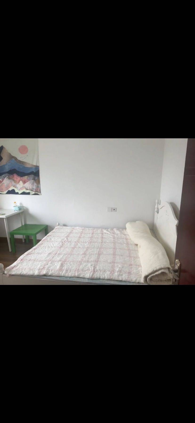 Chengdu-Chenghua-Pet Friendly