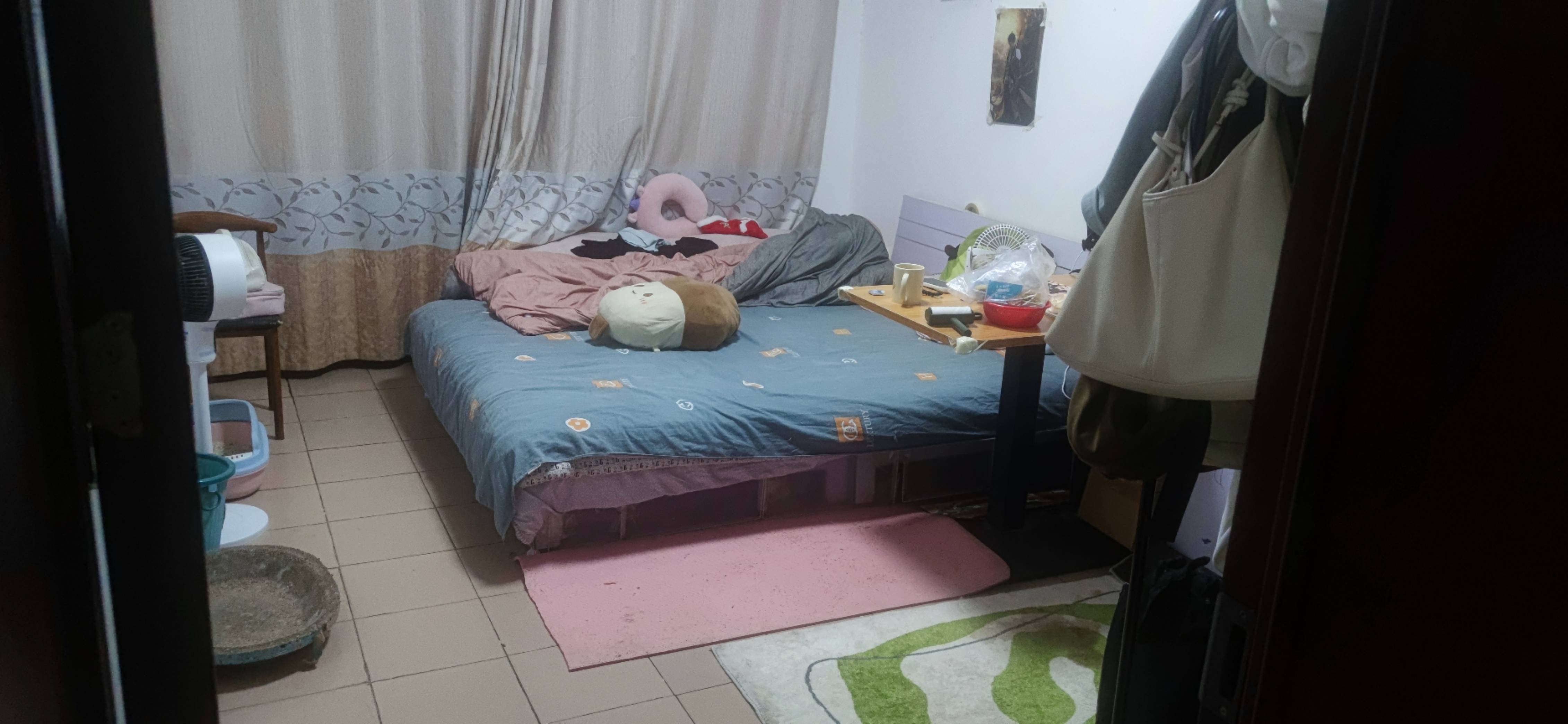 Zhengzhou-Erqi-Cozy Home,Pet Friendly