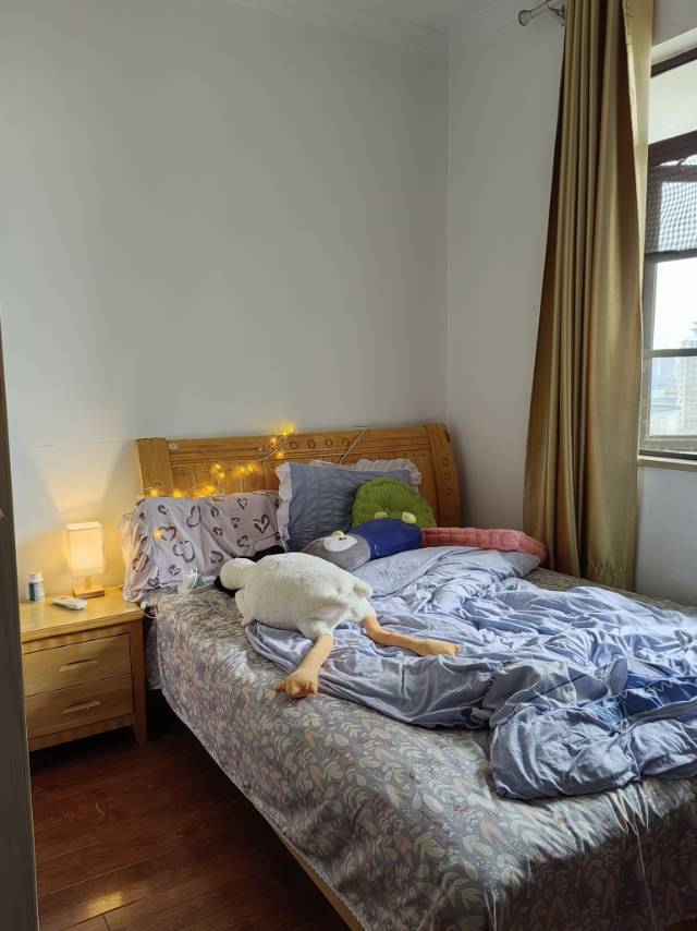 Wuhan-Hongshan-Cozy Home,Clean&Comfy,No Gender Limit,Hustle & Bustle,LGBTQ Friendly,Pet Friendly