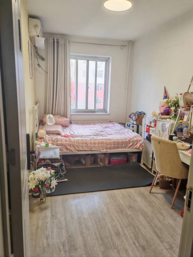 Beijing-Daxing-“Friends”,Chilled,Pet Friendly