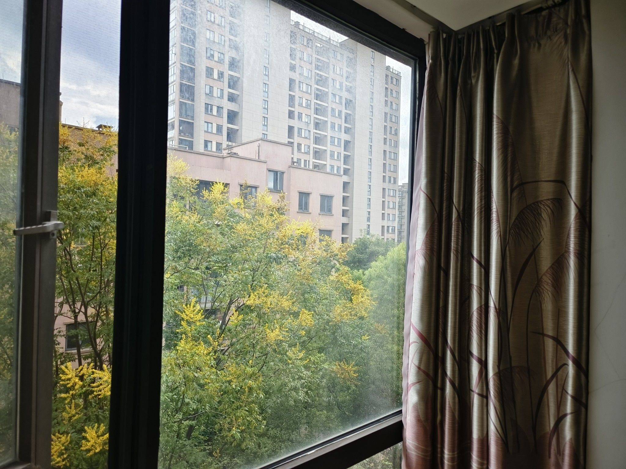 Hangzhou-Shangcheng-Cozy Home,No Gender Limit,Chilled,Pet Friendly