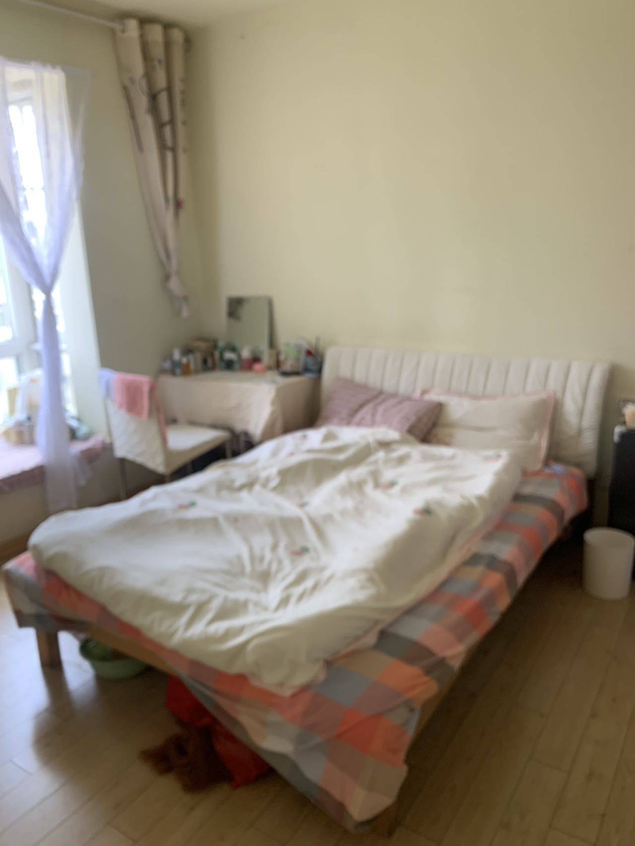 Hefei-Baohe-Pet Friendly