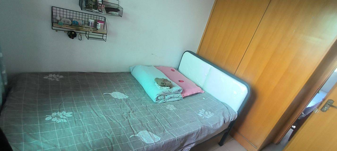 Chengdu-Chenghua-Cozy Home,Clean&Comfy,No Gender Limit,“Friends”,Pet Friendly