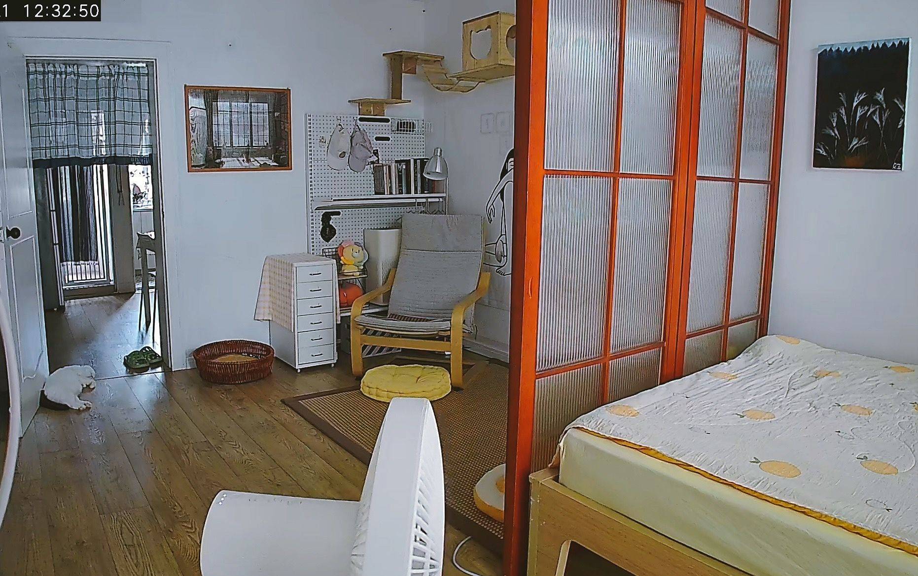 Beijing-Chaoyang-Cozy Home,Clean&Comfy,No Gender Limit,Chilled,Pet Friendly