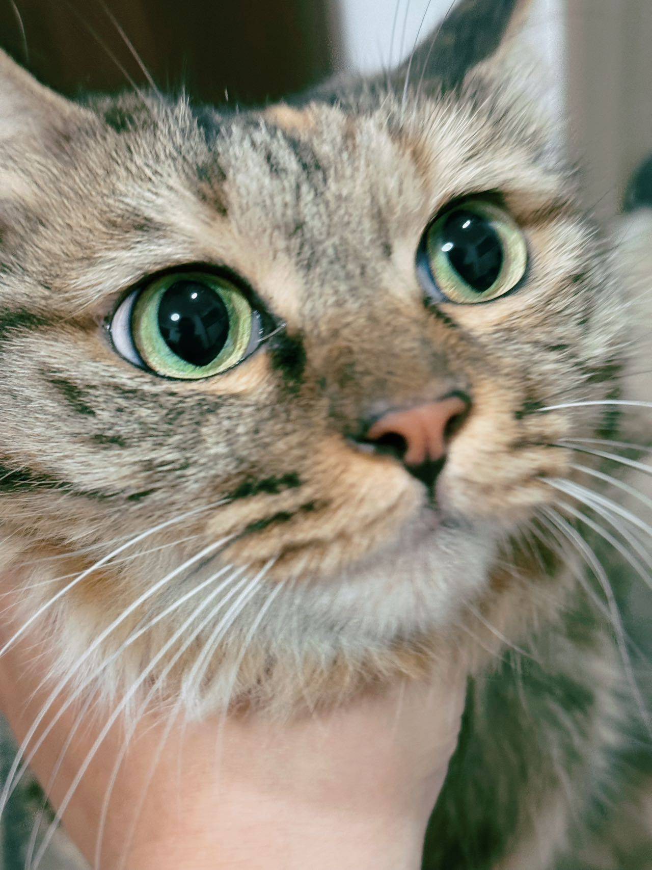Freya