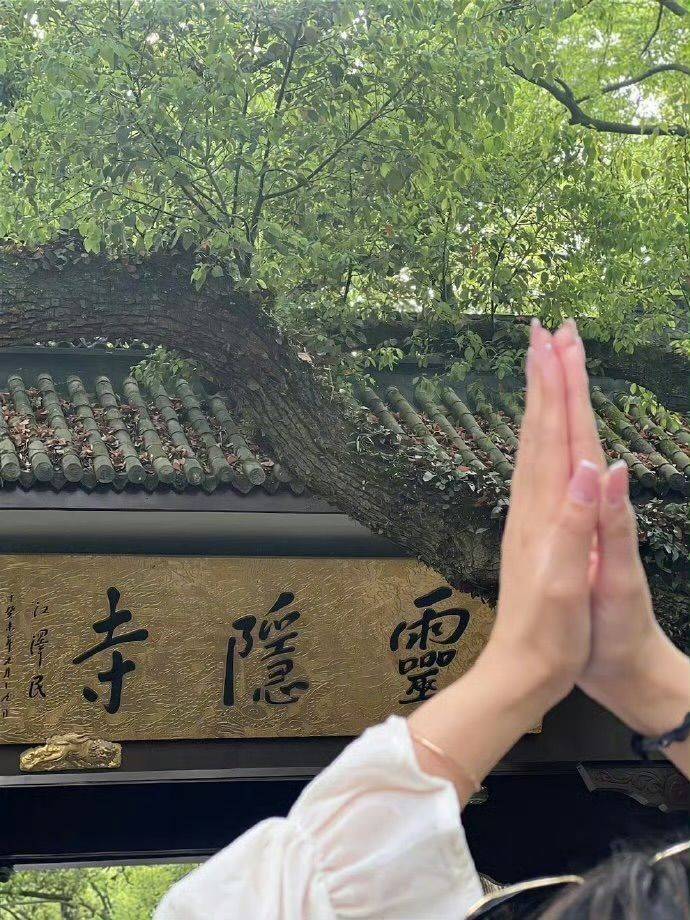 芳心纵火犯