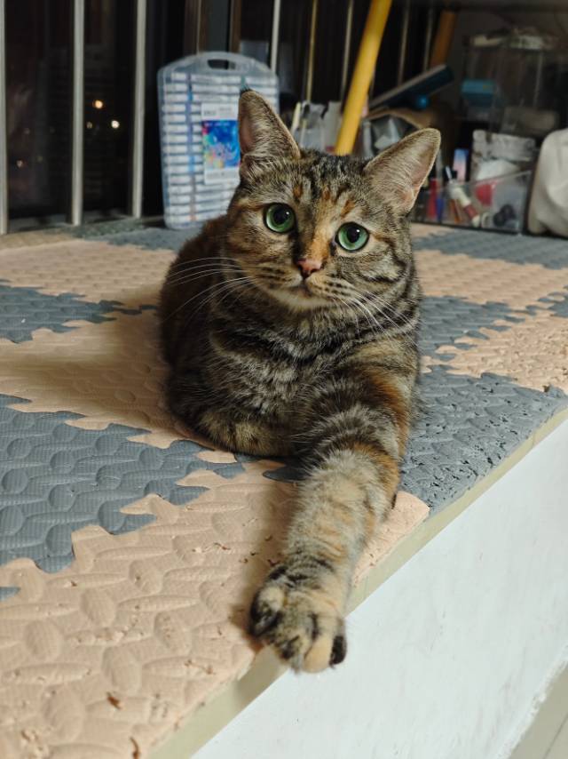 严利