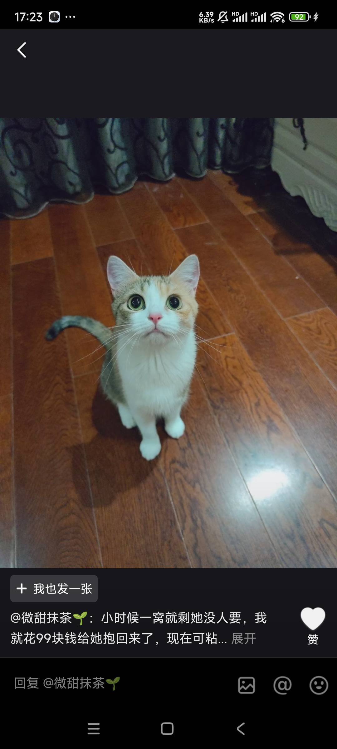 谢小花