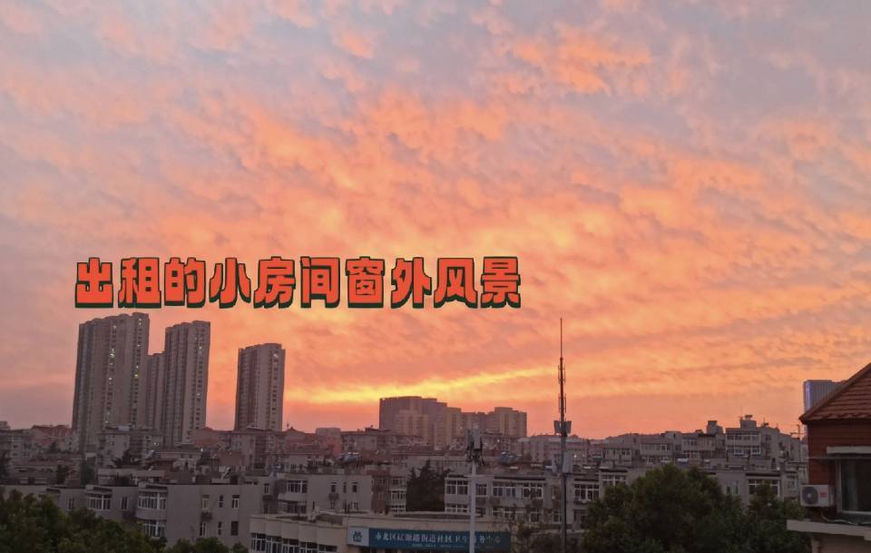 Qingdao-Shibei-Cozy Home,No Gender Limit,Hustle & Bustle,LGBTQ Friendly