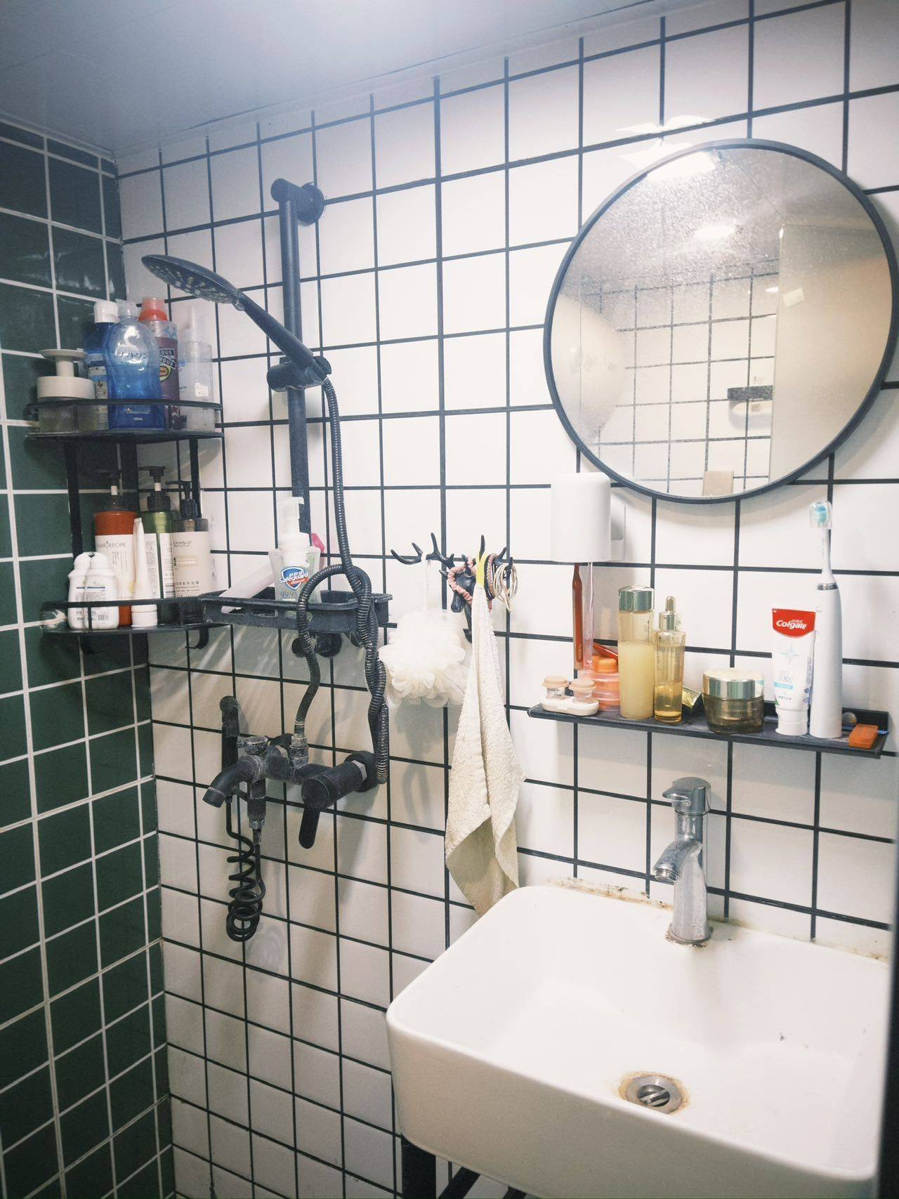 🦖陈住气整租房源3