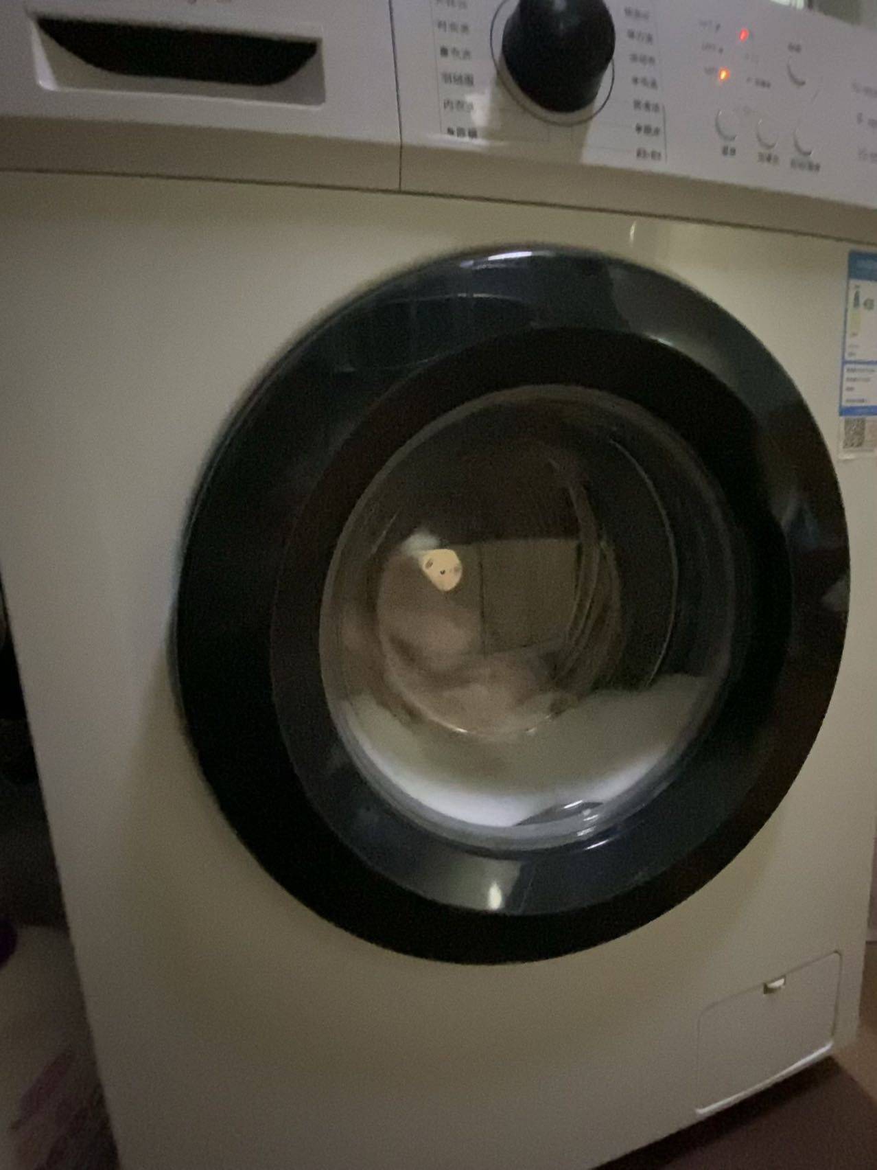 Nanjing Xuanwu | 韶山路246号院_3