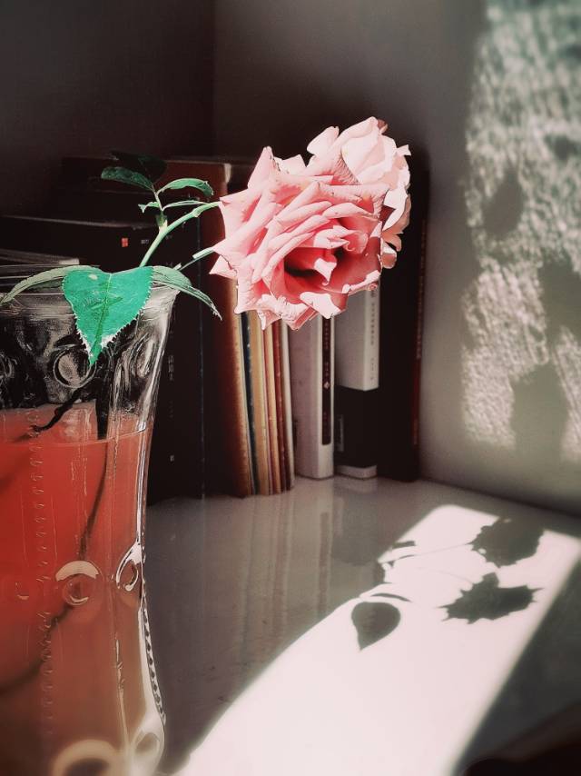 lily