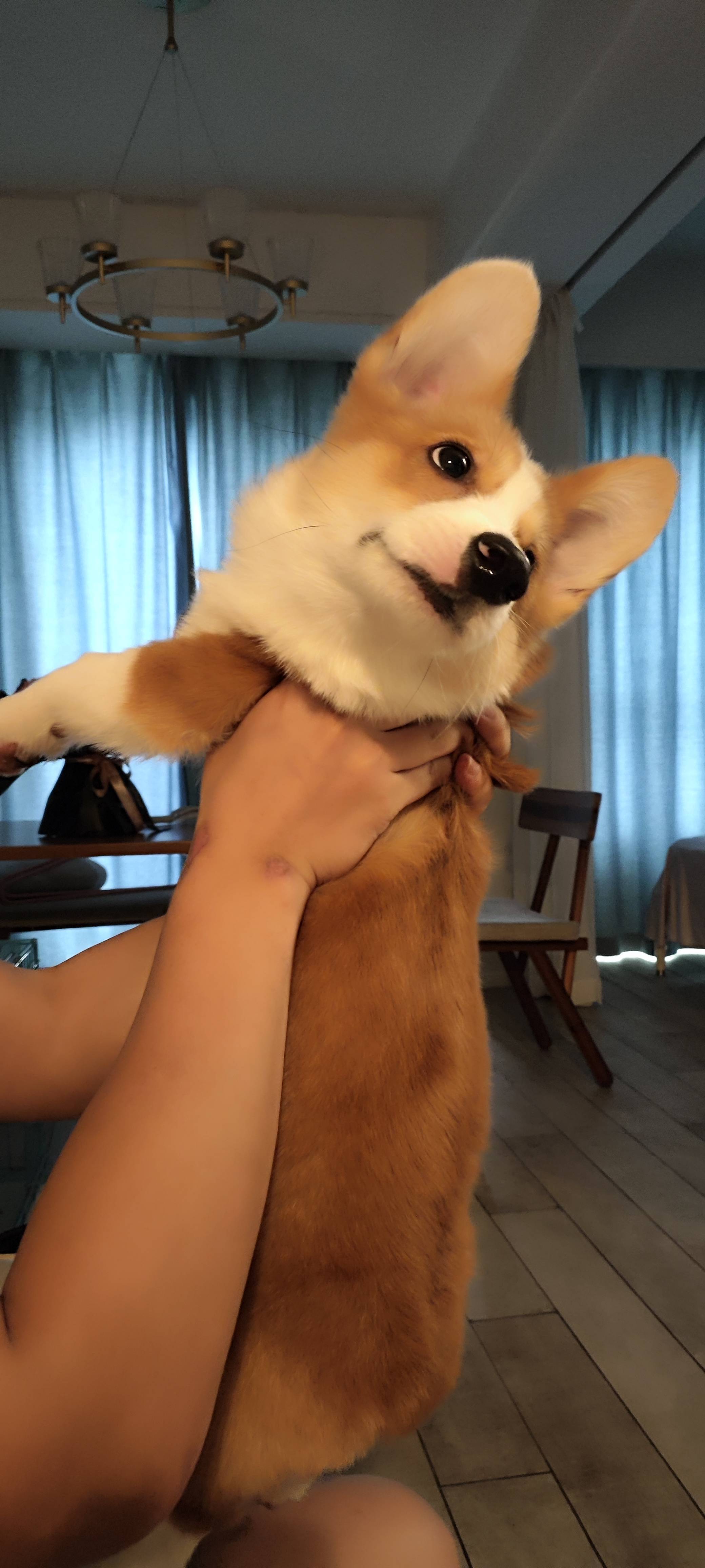 笙笙