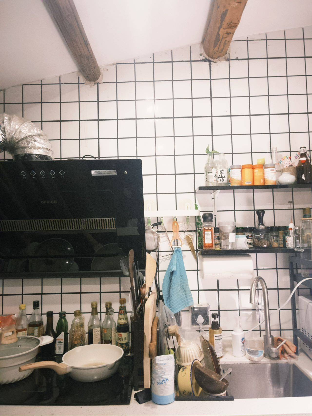 🦖陈住气整租房源2