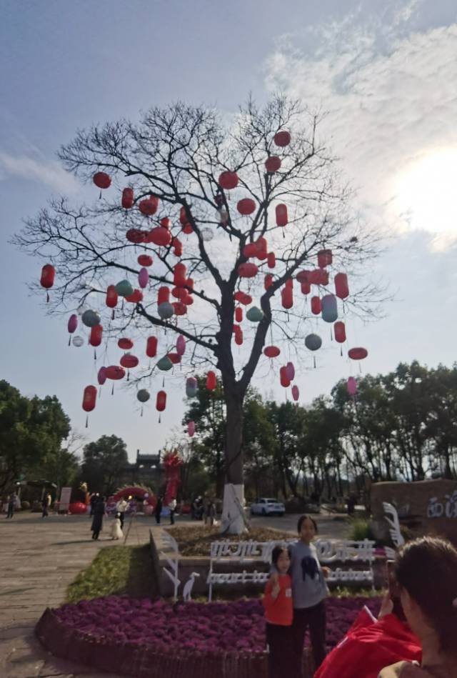 楚儿