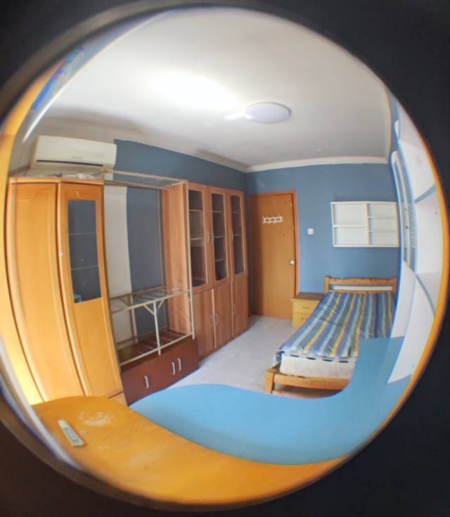 北京-朝陽-溫馨小窩,乾淨治愈,不限性別,寵物友好