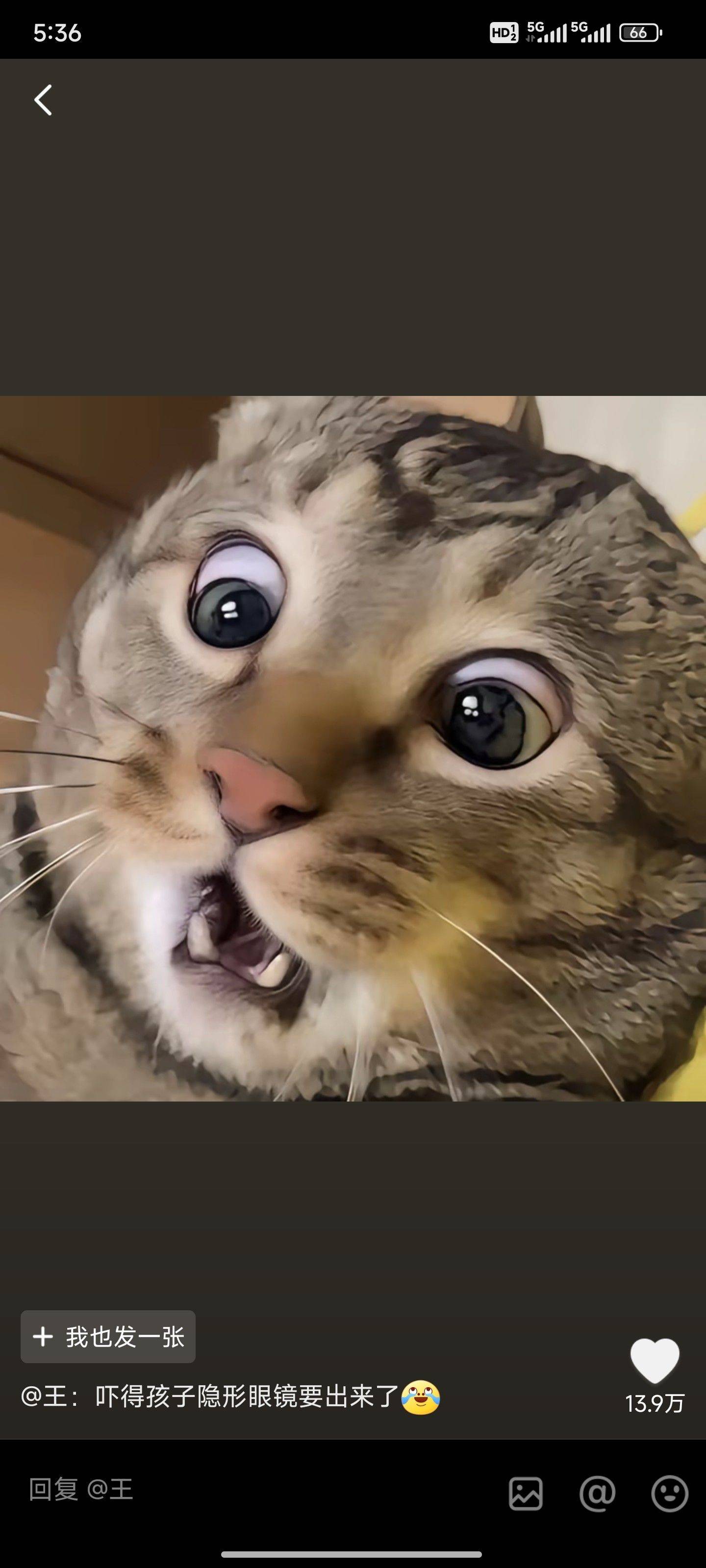 故渊