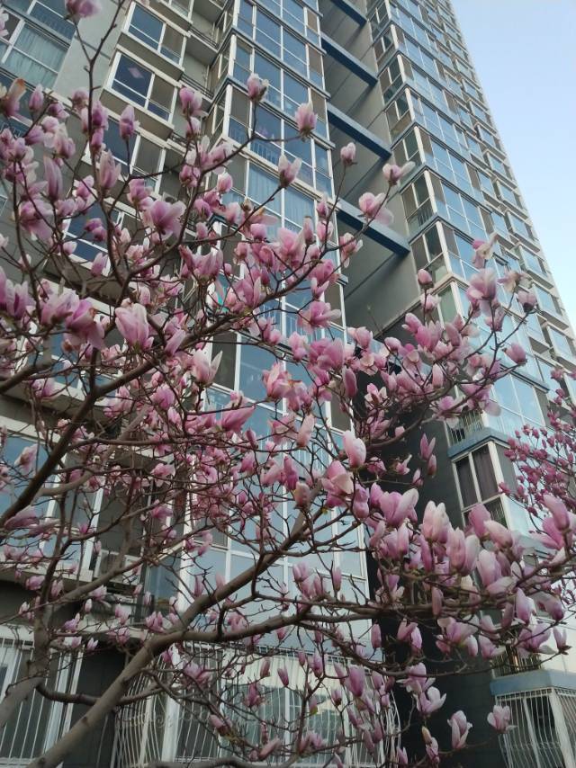 Beijing-Fengtai-Cozy Home