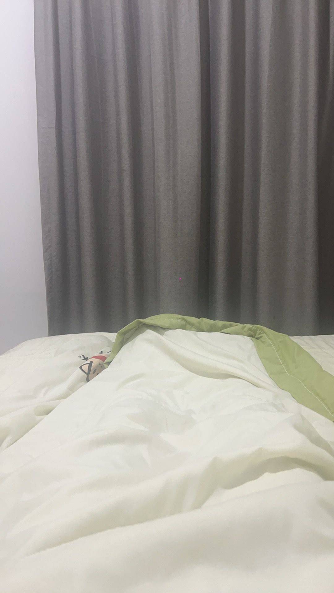 ShenzhenLonggangCozy Gender LimitPet Friendly