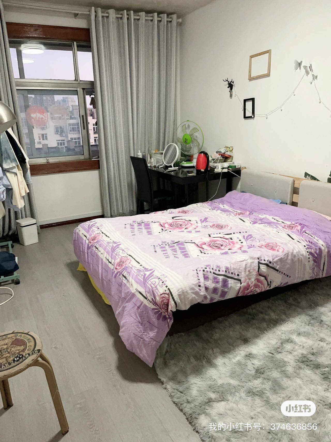 Qingdao-Licang-Cozy Home,“Friends”,Pet Friendly