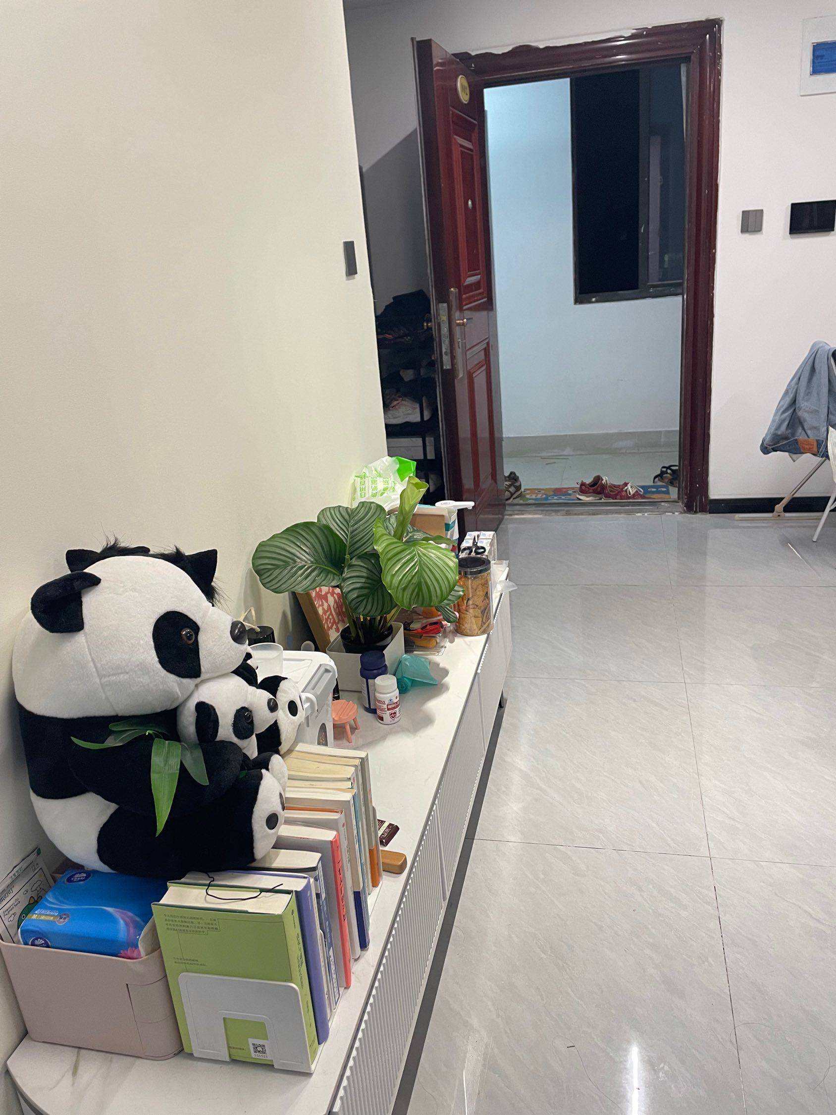 上海-闵行-278RMB/晚,温馨小窝,干净治愈,不限性别,市井烟火气,老友记,慢时光,LGBTQ友好,宠物友好