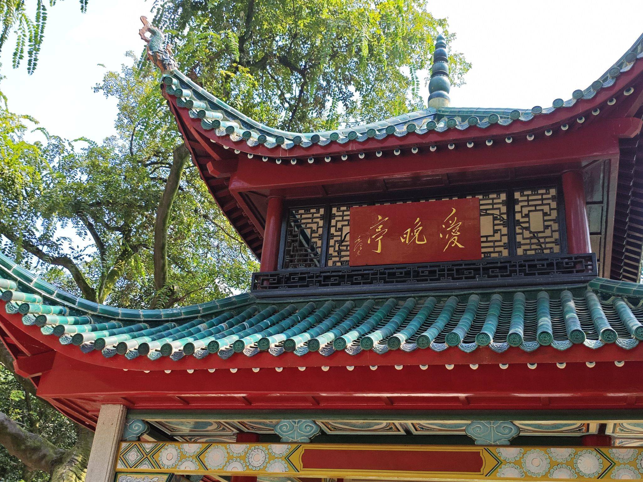 王含琪