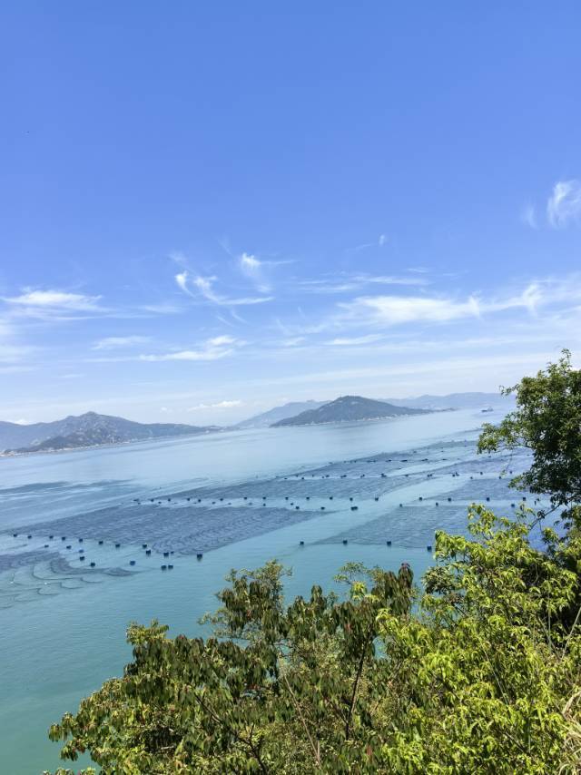 桐桐宝贝，i