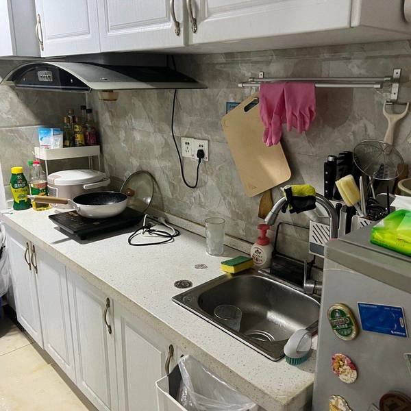 拉普拉斯的妖整租房源2