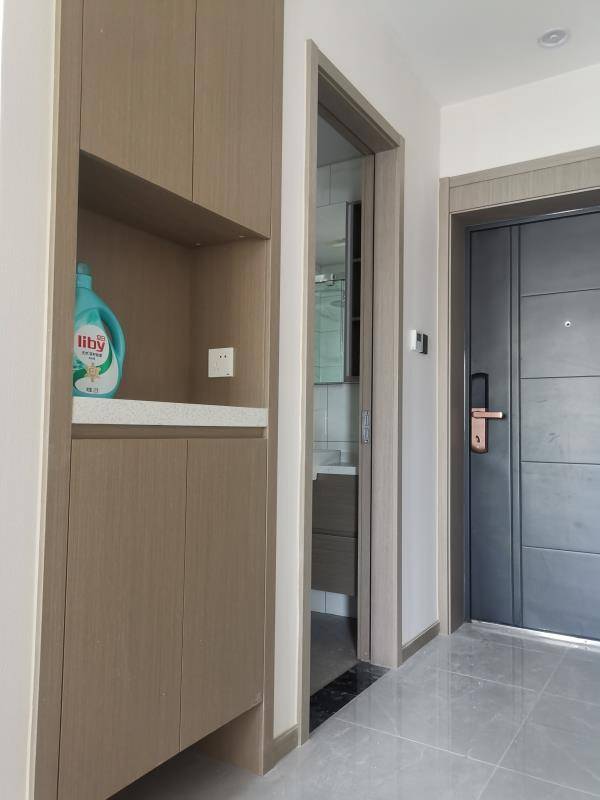 就是一个小房东整租房源3