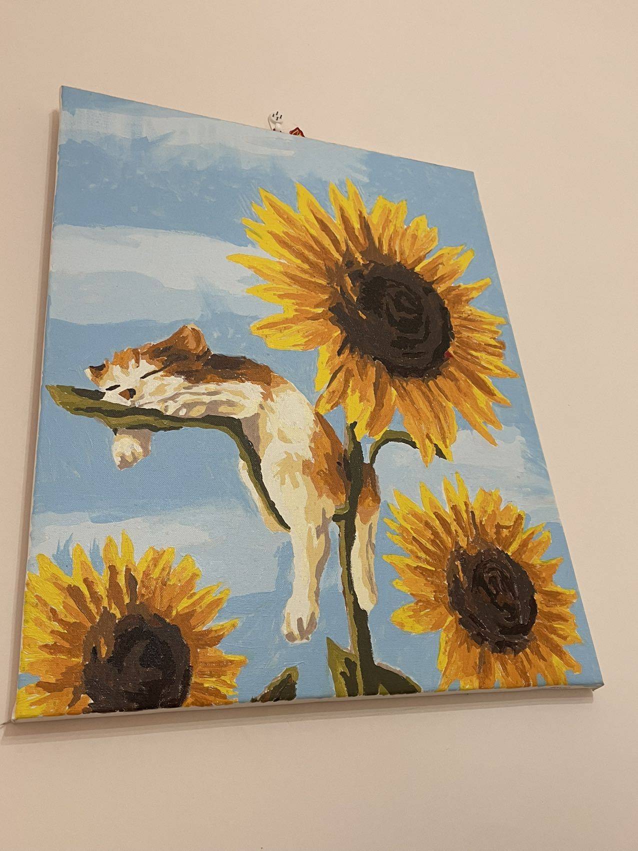 扬六月