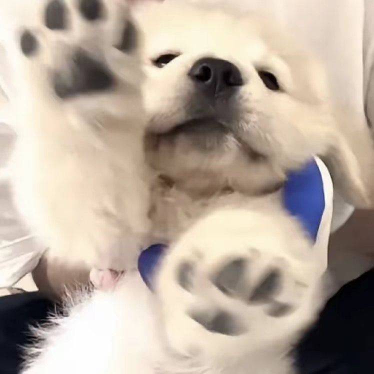 龙元辉