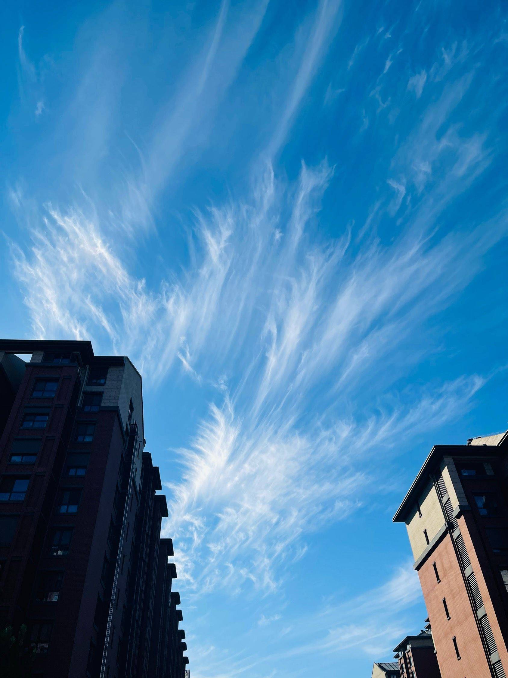 尼古拉斯史丹利士丁