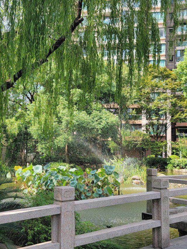 拱墅 拱墅区文晖现代雅苑(绍兴路南)