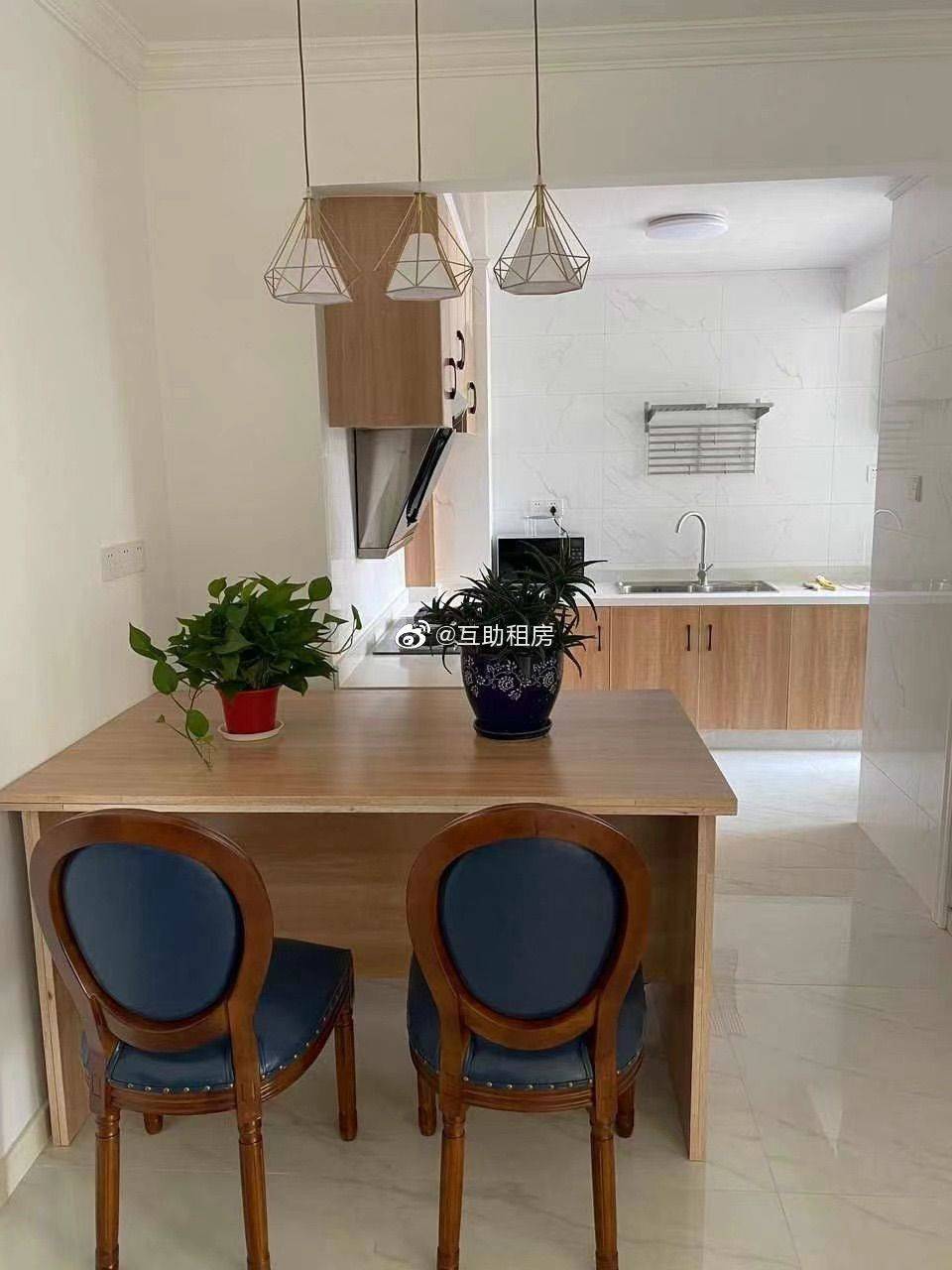 Shanghai-Putuo-Cozy Home,No Gender Limit,Hustle & Bustle,Chilled,Pet Friendly
