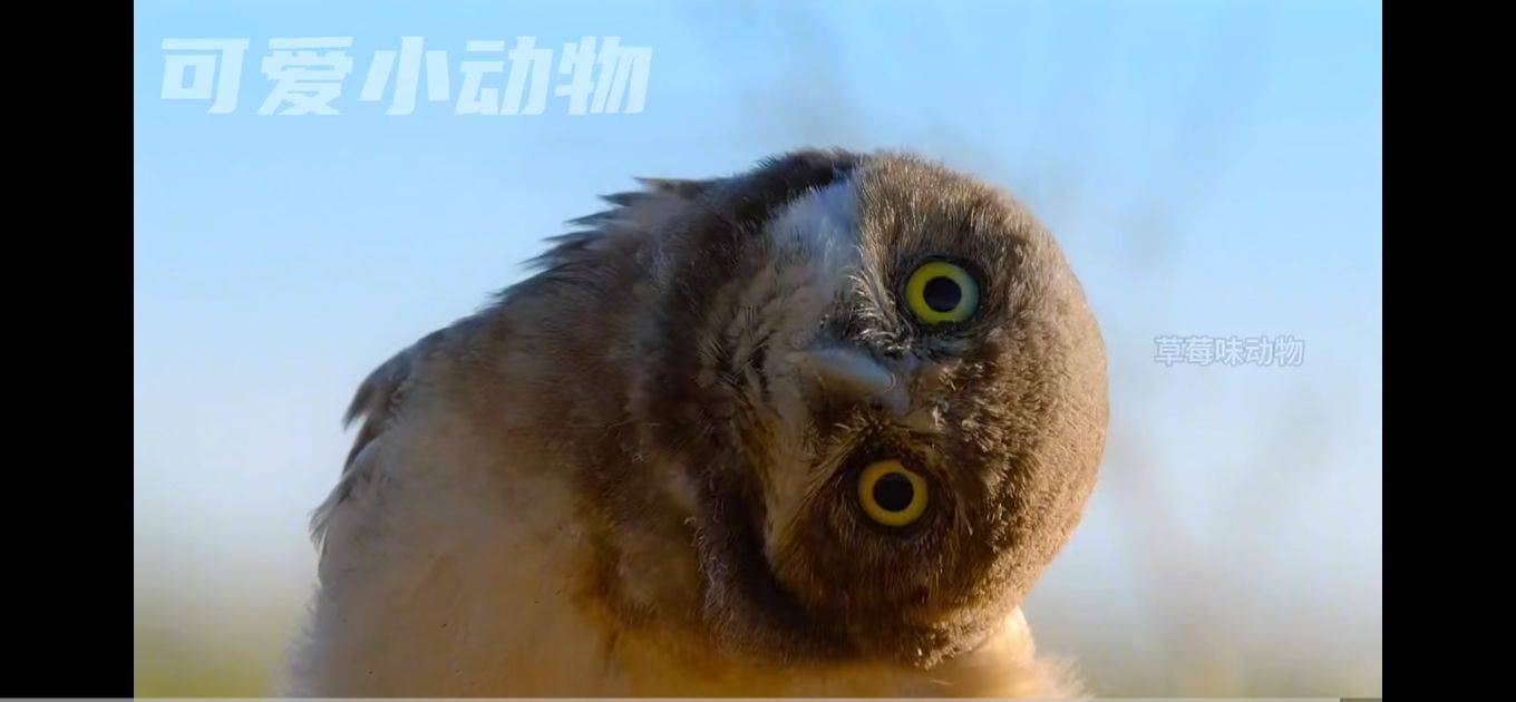 李爱娟