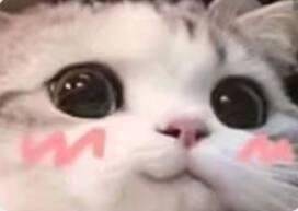 闪歌