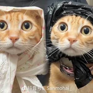 穗穗平安