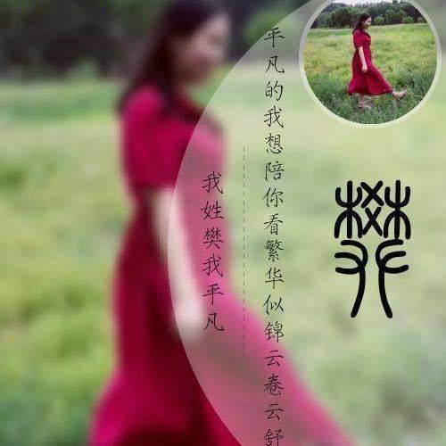 琴馨💤💤