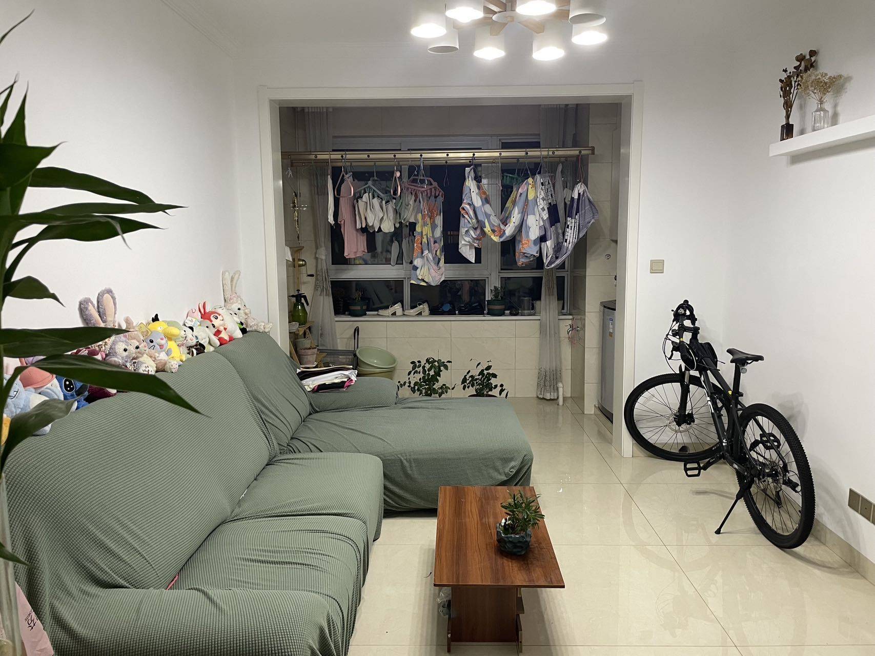 Hefei-Shushan-Cozy Home,Clean&Comfy,No Gender Limit