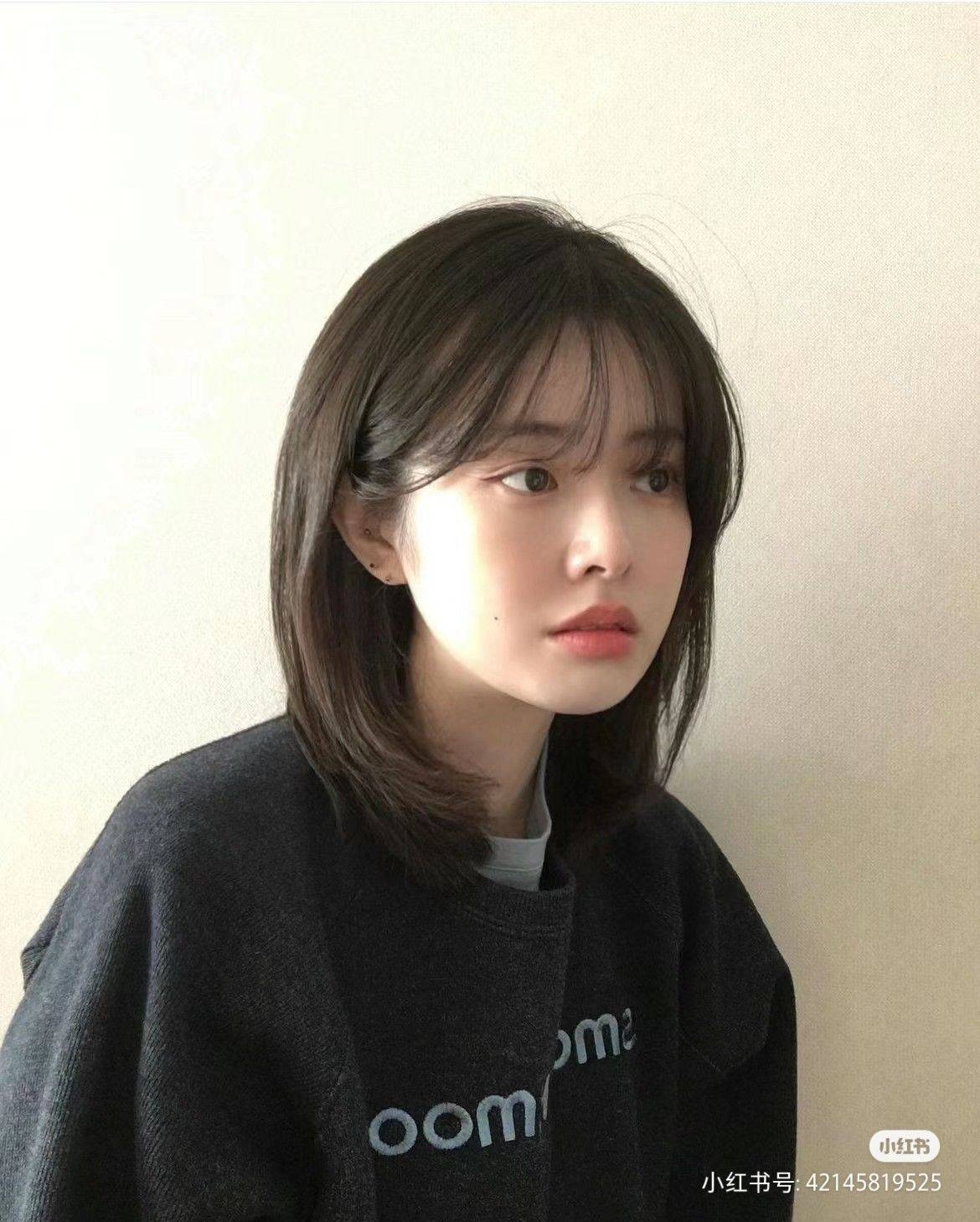 胖燕