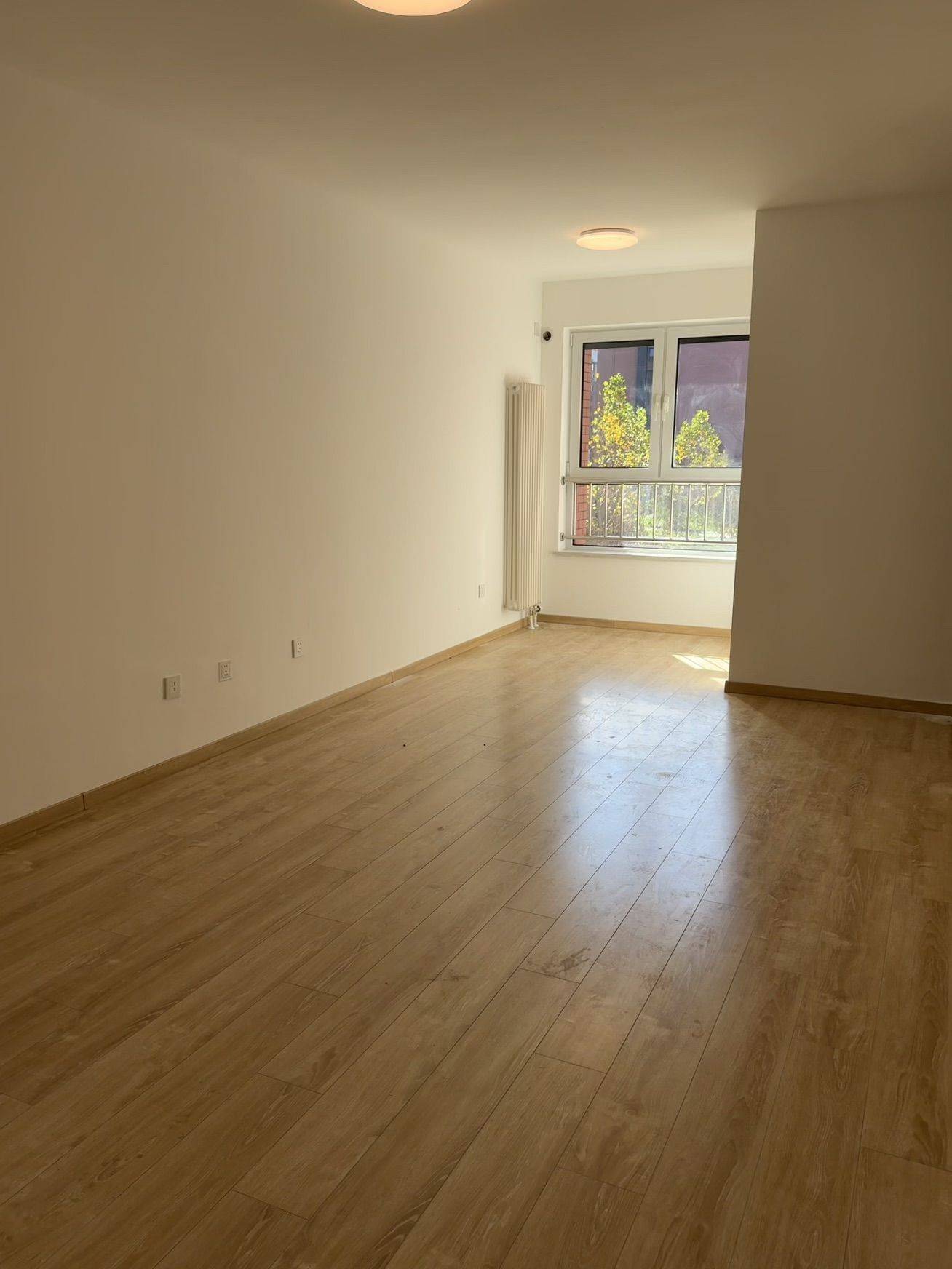 北京-东城-温馨小窝,干净治愈,不限性别,市井烟火气,慢时光,宠物友好