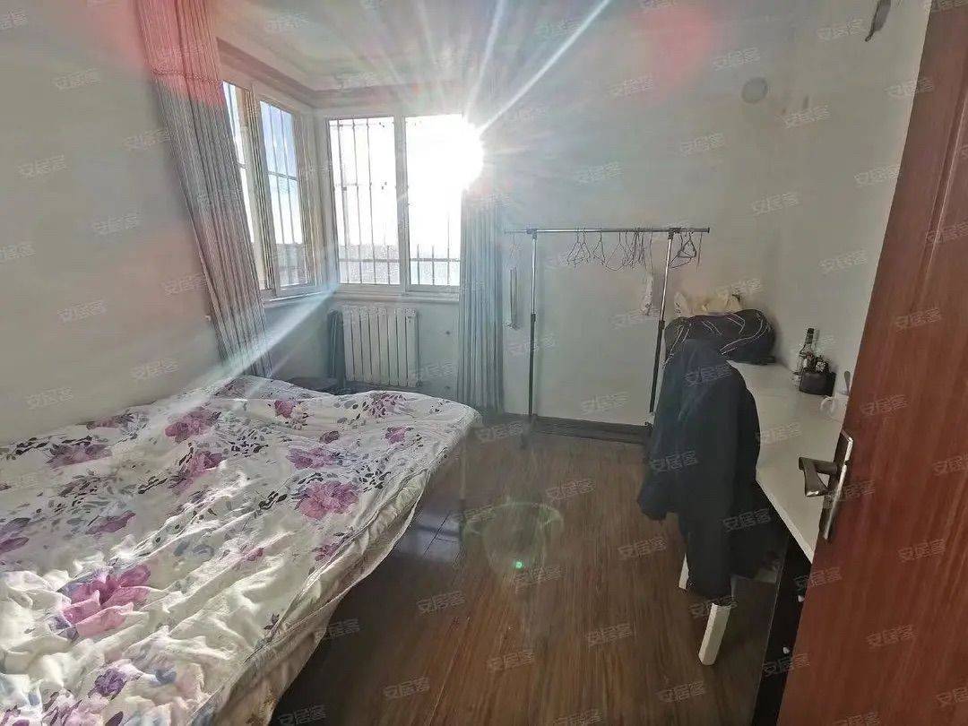 北京-朝陽-溫馨小窩,市井煙火氣,寵物友好