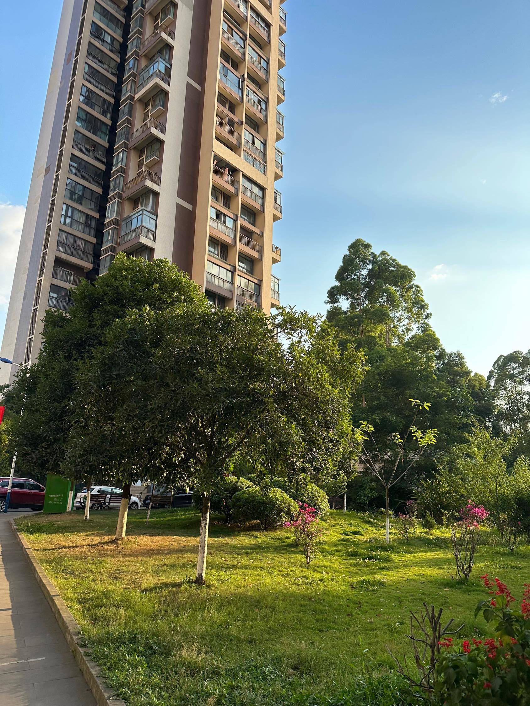 Chengdu-Longquanyi-90RMB/Night,Cozy Home,No Gender Limit,Chilled,LGBTQ Friendly,Pet Friendly
