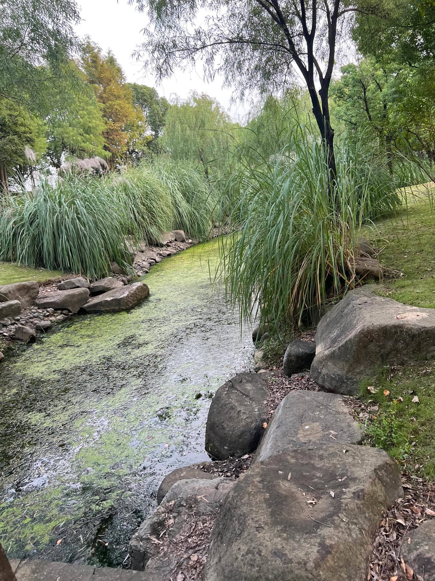 杭州-西湖-溫馨小窩,乾淨治愈,不限性別,慢時光