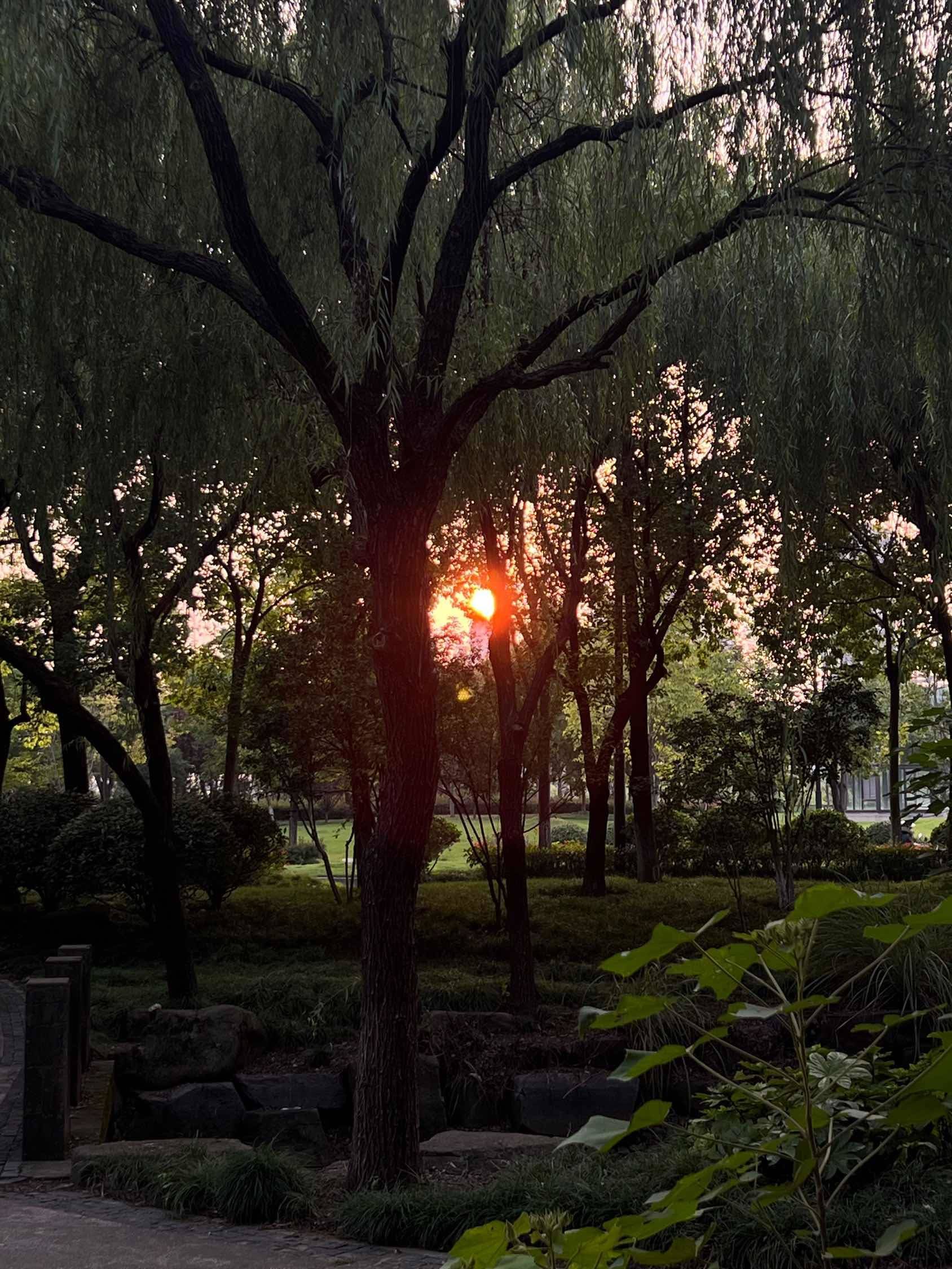 杭州-西湖-溫馨小窩,乾淨治愈,不限性別,慢時光