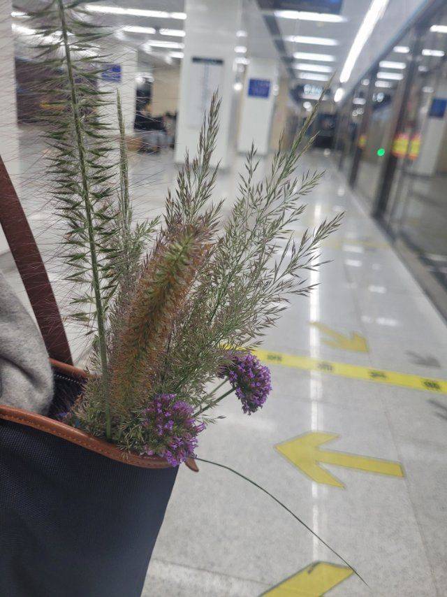 小凡不烦