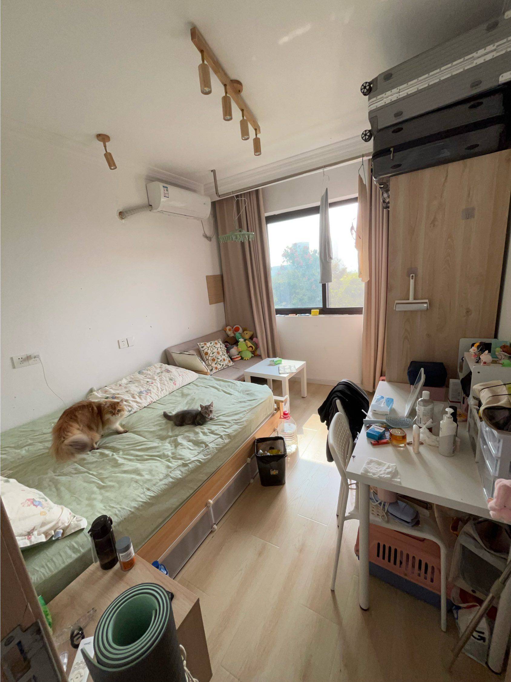 Shanghai-Baoshan-Cozy Home,Clean&Comfy,No Gender Limit,Pet Friendly