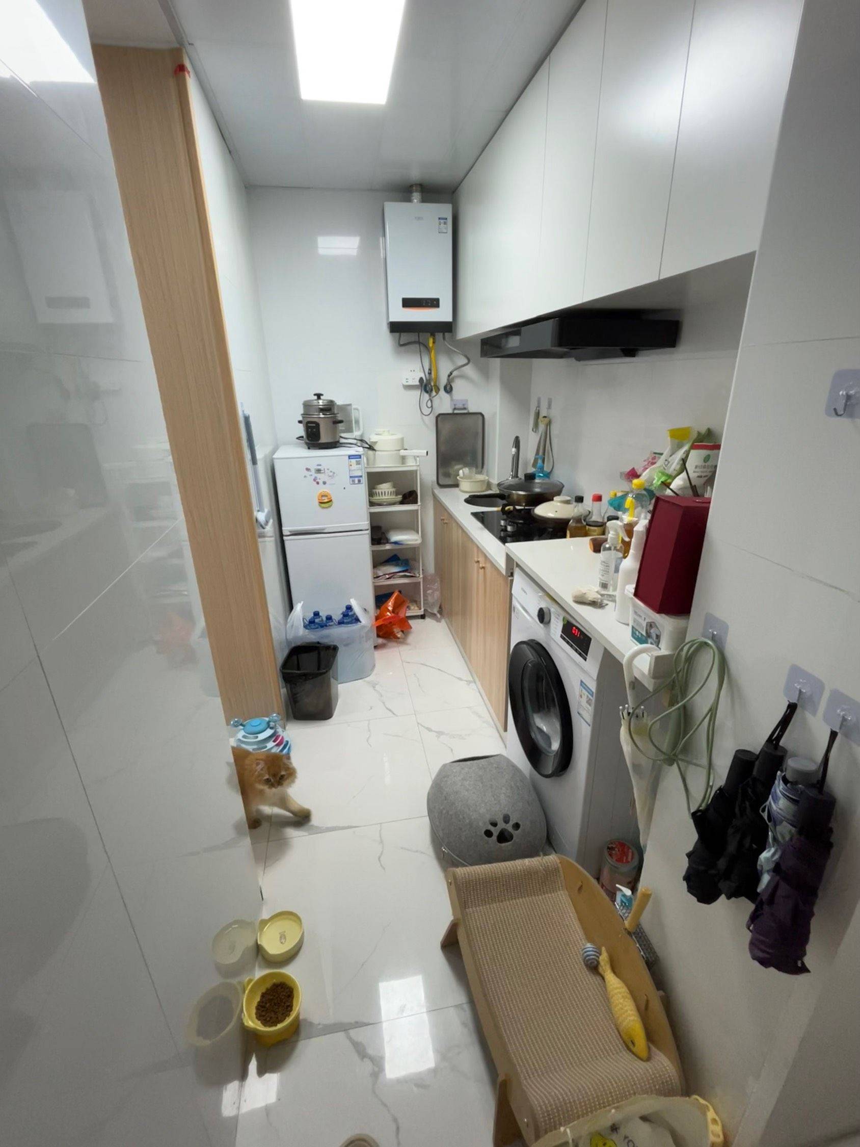 Shanghai-Baoshan-Cozy Home,Clean&Comfy,No Gender Limit,Pet Friendly