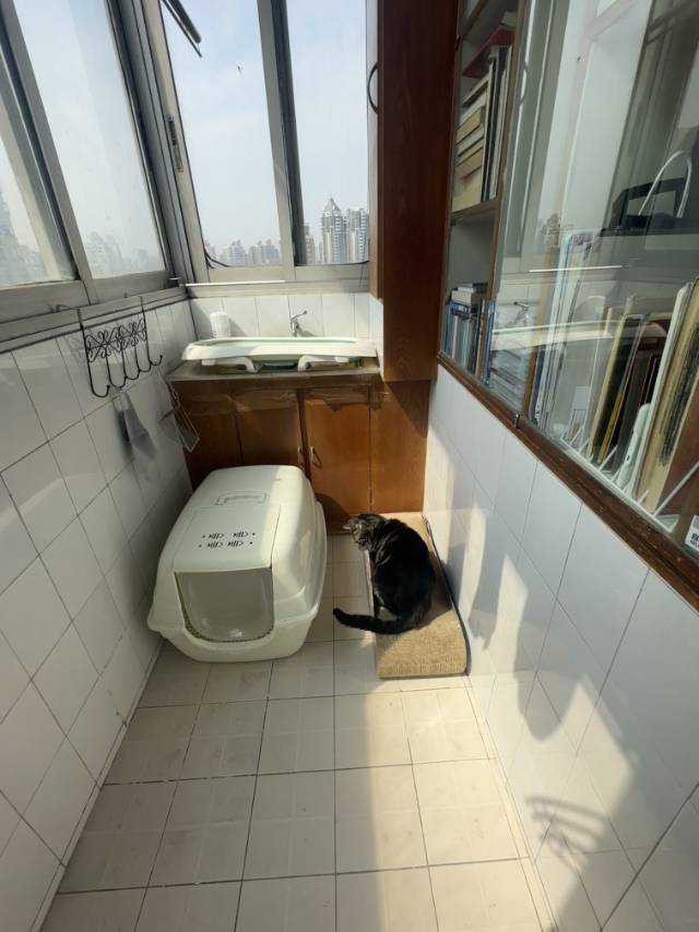 Shanghai-Changning-Cozy Home,Clean&Comfy