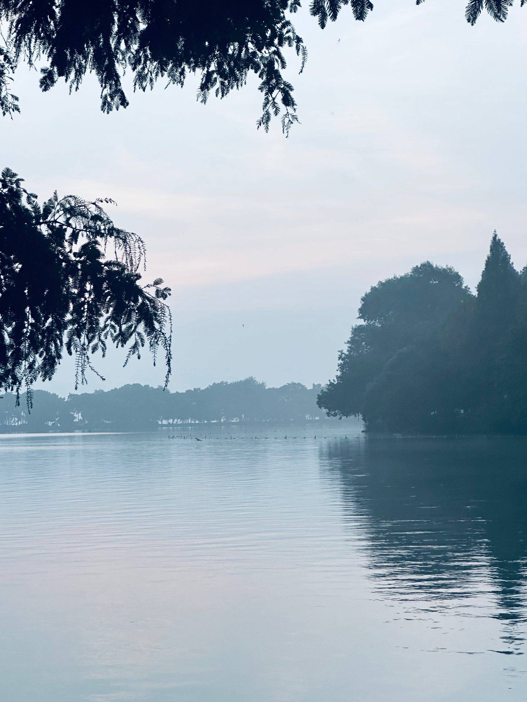 Hangzhou-Xihu-Long Term